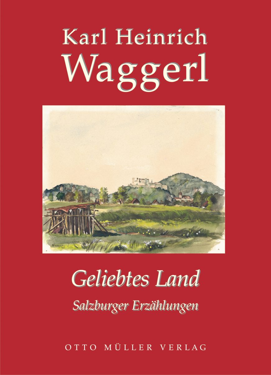 Buchcover Geliebtes Land
