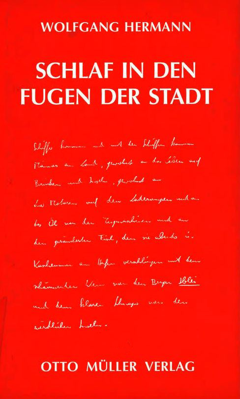 Buchcover Schlaf in den Fugen der Stadt