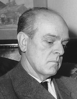 Foto von Mesa Selimovic