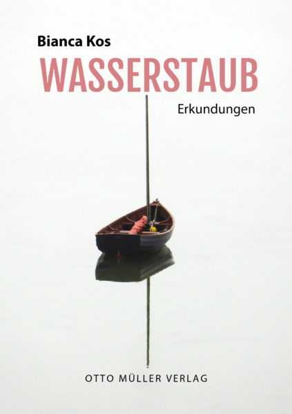 Cover Wasserstaub